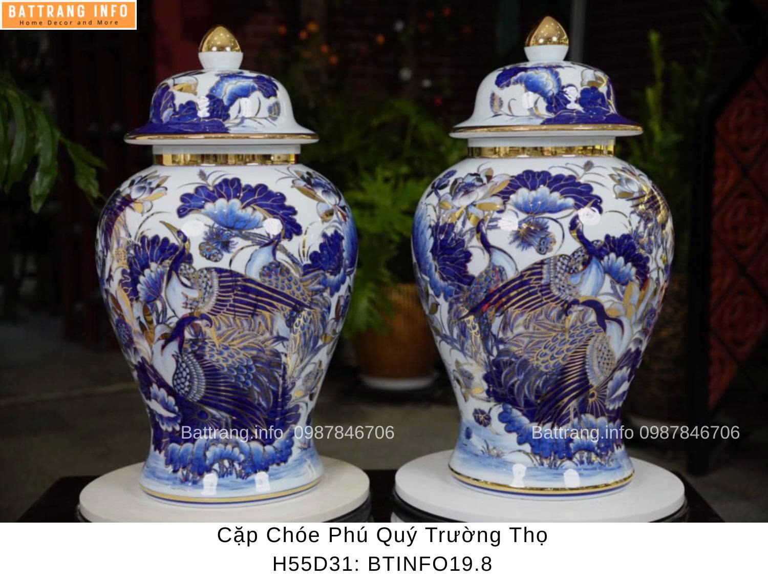 CHOÉ PHÚ QUÝ TRƯỜNG THỌ VẼ VÀNG CAO 55CM